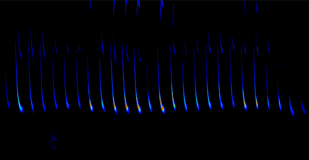 A spectrogram shows the sonar pulses of an eastern red tail bat on the High Line.