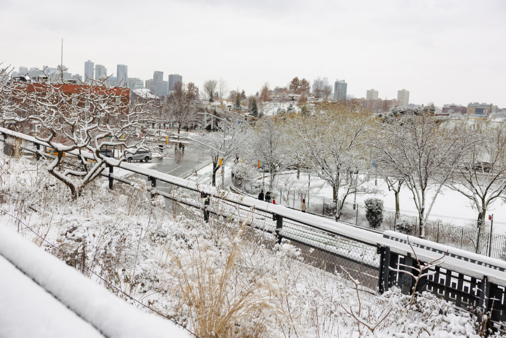The High Line Gardens covered in fresh snow, snow on railing.