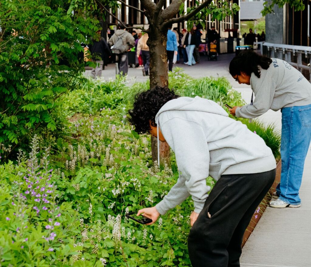 Two people take photos of plants